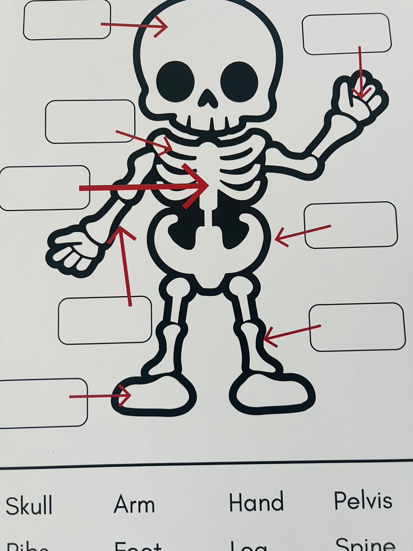 My Spooky Activity Pack